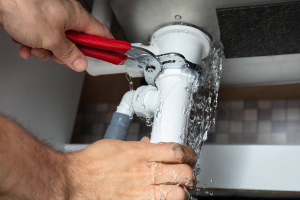 Best Carpet water damage restoration  in Wilsons Mills, NC