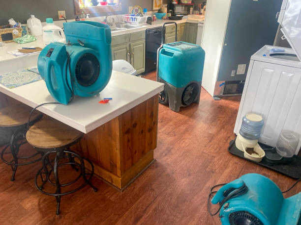 Best Professional water damage repair  in Wilsons Mills, NC