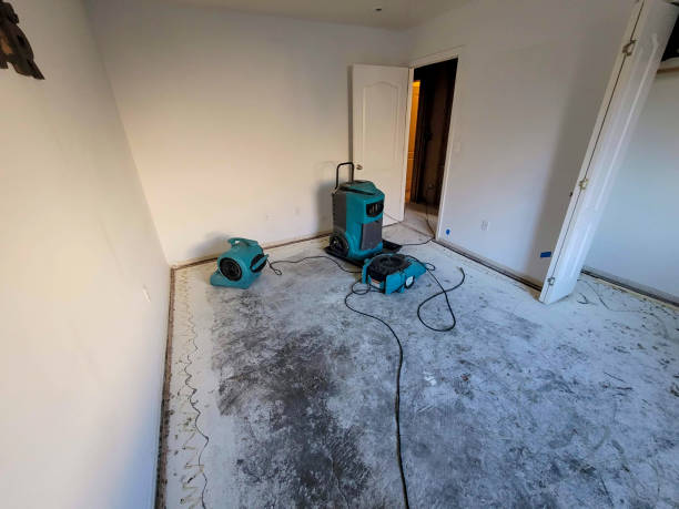 Best Mold removal after water damage  in Wilsons Mills, NC