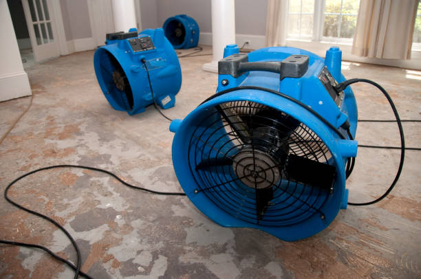 Best 24-hour water damage restoration  in Wilsons Mills, NC