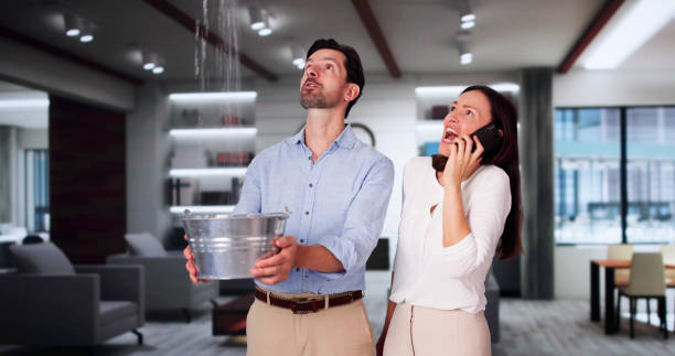 Best Commercial water damage restoration  in Wilsons Mills, NC