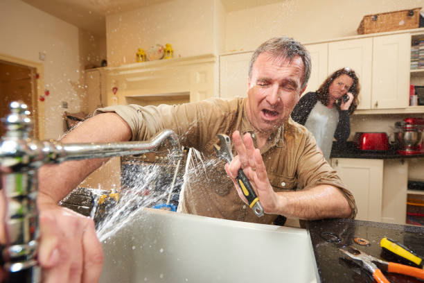Best Local water damage restoration  in Wilsons Mills, NC